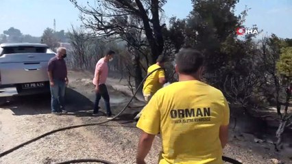 Tavaklı’da 1 ayda 9 kez orman yangını çıktı