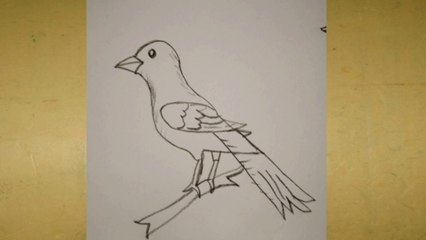 Easy bird drawing by pencil
