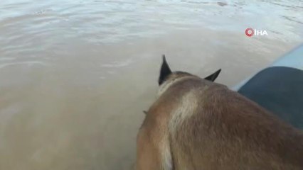 Dünyada sadece Türkiye başarılı olabildi: Sel bölgesinde 8 ceset buldular