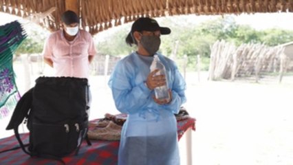 indígenas wayuu combaten la covid-19 con medicina ancestral y occidental