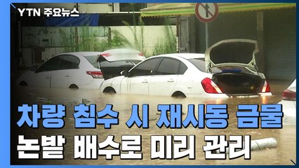 침수로 멈춘 차량 재시동 금물...강한 비바람 피해 대비해야 / YTN