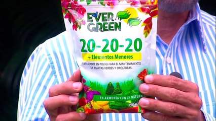 bd-publireportaje-evergreen-230821