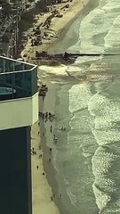 Imagens mostram draga no alargamento da praia de Balneário Camboriú