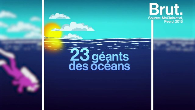 23 géants des océans