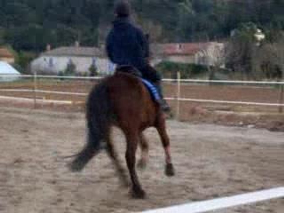 Sawyer et Kiwi
