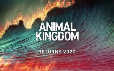 Animal Kingdom - Promo 5x08