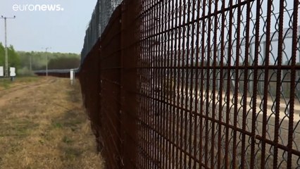 HUNGRÍA | 860 personas migrantes detenidas por intentar entrar en el país de manera irregular