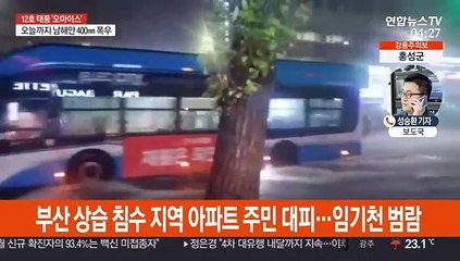 태풍 '오마이스' 관통…부산 등 남부 피해 속출