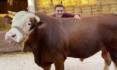 بقرة الشيف بوراك تهاجم المصوّر أثناء التصوير