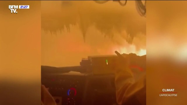 Après deux nuits blanches à guetter l'incendie dans le Var, la propriétaire de cette écurie a dû évacuer en urgence 170 chevaux