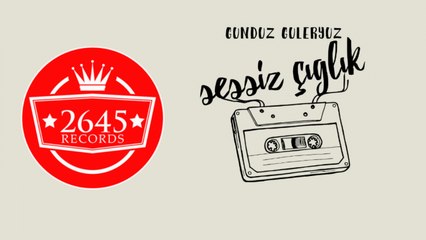 Gündüz Güleryüz - Sessiz Çığlık