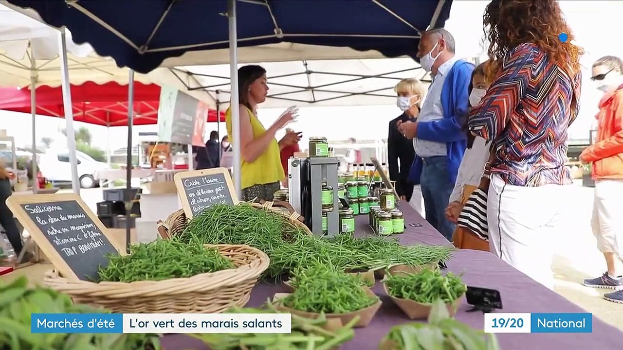 Marché d'été : la salicorne, l'or vert des marais salants