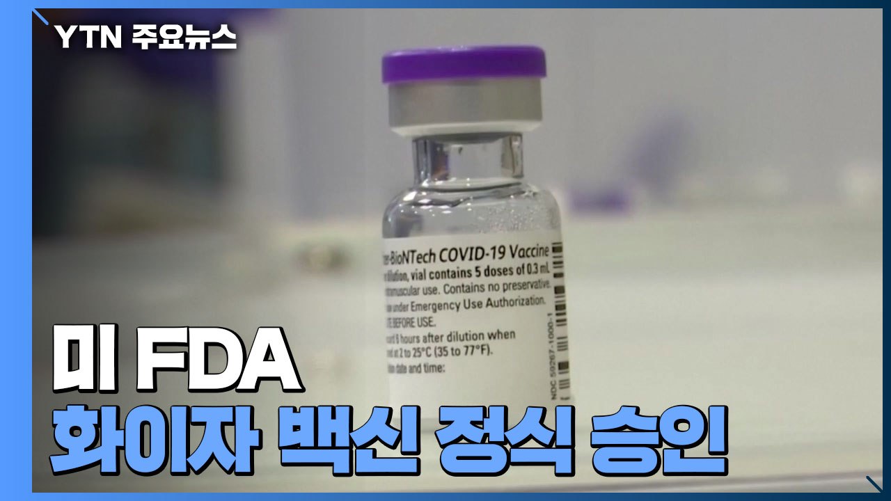 미 FDA, 화이자 백신 정식 승인...'백신 접종 의무화' 확산 / YTN