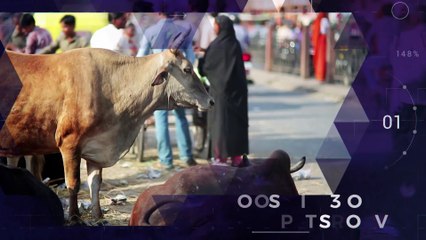 Reporte Climático 02 | Secuestro del carbono: ¿Una solución viable?