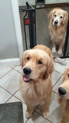 Caly Chats When She Wants a Snack