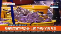 남부지방 곳곳 태풍 피해…오후까지 많은 비 예보