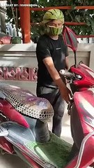 Have fun with this video!!  Don’t miss it. 2022 Diviértete con este video!!  No lo dejes de ver.