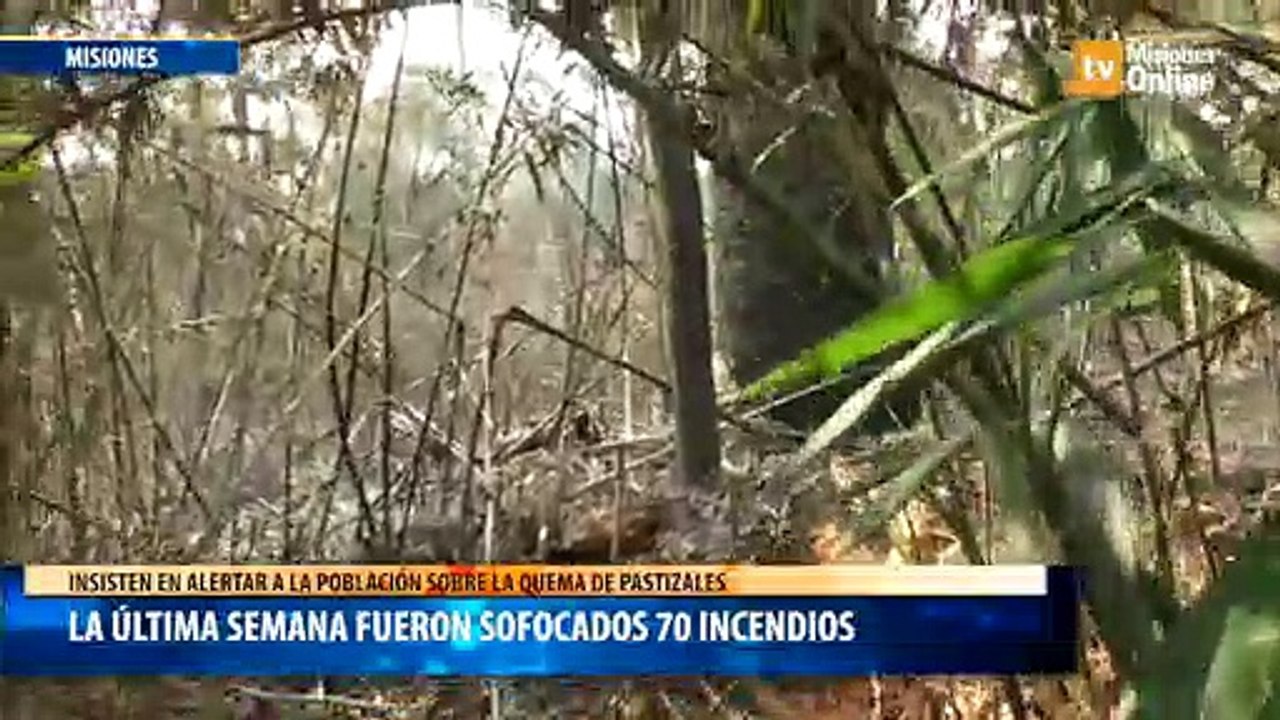 La última semana fueron sofocados 70 incendios en Misiones: insisten en alertar a la población sobre la quema de pastizales