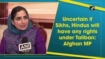 Uncertain if Sikhs, Hindus will have any rights under Taliban: Afghan MP