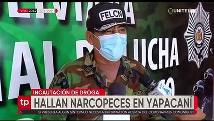 Encuentran 'narcopescados' en una encomienda que iba de Yapacaní a Santa Cruz