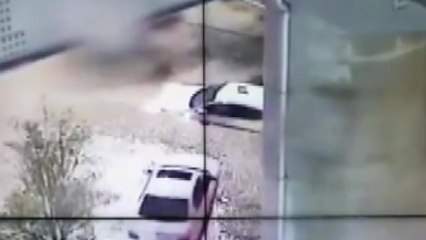 태풍 '오마이스' 물 폭탄...영·호남 곳곳 침수 피해 / YTN