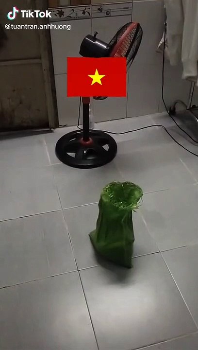 Nhận bao gạo bé xíu, chàng trai phát hiện tiền giấu phía dưới