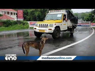 പൊലീസ് ''ഡ്യൂട്ടി'' യിലുള്ള ഈ നായ പൊലീസ് നായയല്ല..!  | This dog on police duty is not a police dog