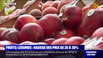 Pourquoi y a-t-il une hausse des prix sur les fruits et légumes ?