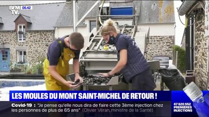 Télécharger la video: Les moules du Mont-Saint-Michel, certifiées AOP, sont de retour