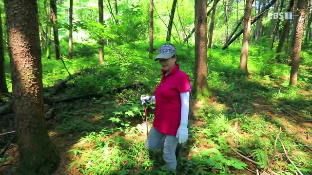한국기행 - Korea travel_여름 산골 밥상 2부- 금손 남자, 약손 여자_#001
