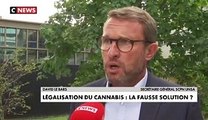 Règlements de comptes à Marseille : Le débat relancé sur la légalisation du cannabis, mais le gouvernement n’est pas prêt à s’engager sur cette voie