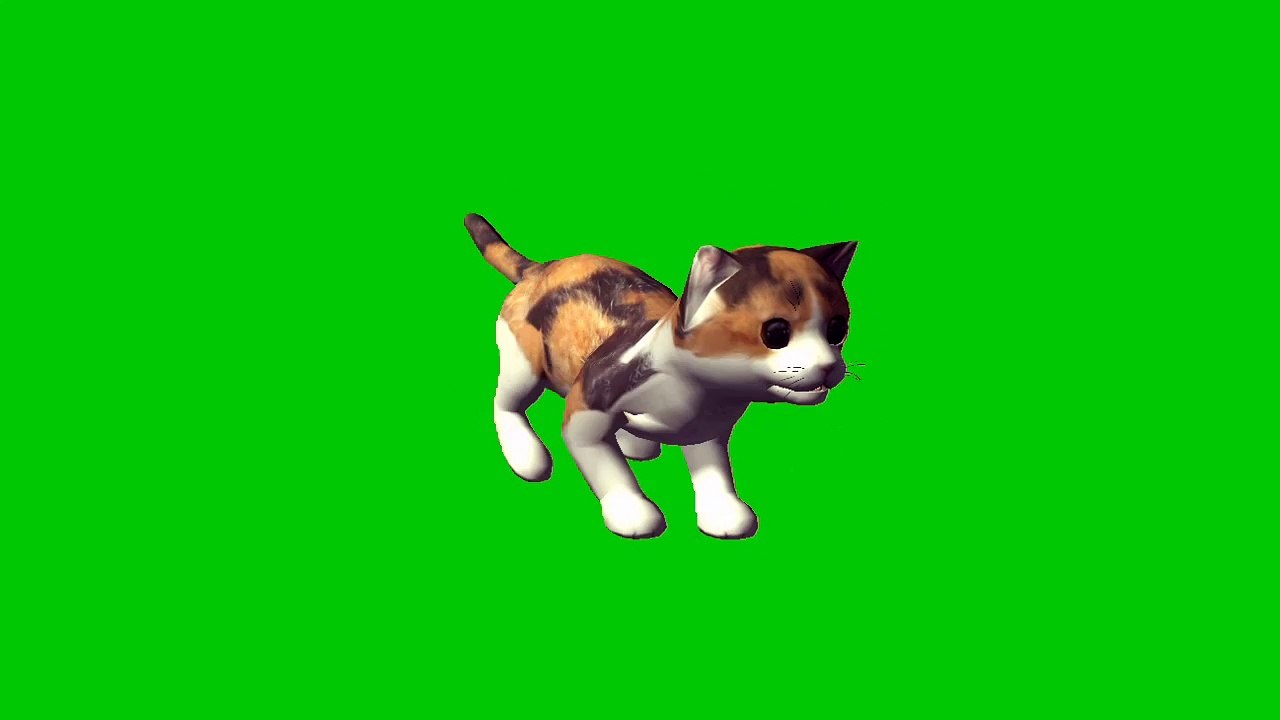 Cartoon video green scene cat animal and animation