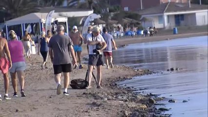 Los vertidos de la agricultura intensiva están matando el Mar Menor