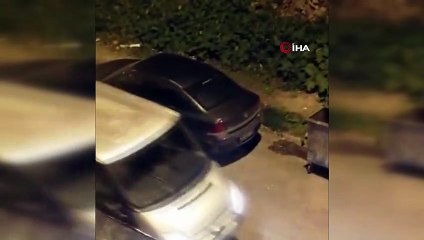 Yolunu şaşıran sansar ailesi şehre indi