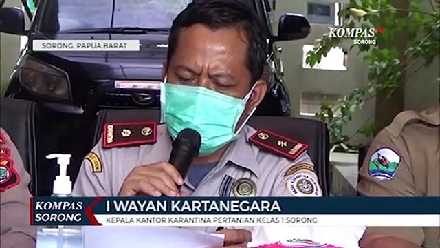 Petugas Gagalkan Penyelundupan 11 Ekor Satwa Dari Sorong Ke Luar Daerah