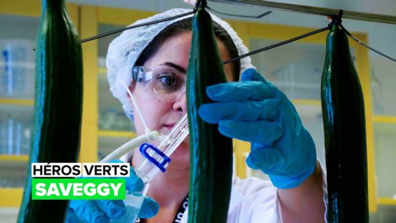 Héros verts : Saveggy