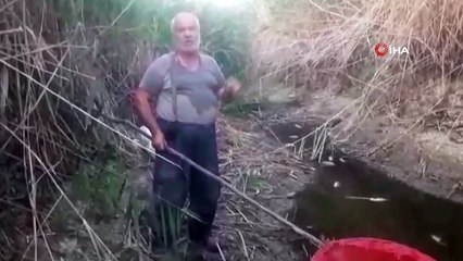 Suyu biten göletten 4 bin balığı kurtardılar