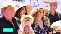 Why Lisa Vanderpump Won't Do 'Housewives' Spin-Off After 'RHOBH' Experience