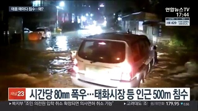 울산 태화시장 또 침수…5년전 차바 태풍 악몽 재현