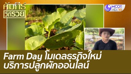 Farm Day โมเดลธุรกิจใหม่ บริการปลูกผักออนไลน์ : คัมภีร์วิถีรวย (24 ส.ค. 64)