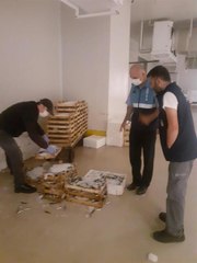 BEYLİKDÜZÜ'NDE YASAK ZAMANINDA AVLANAN 350 KİLOGRAM İSTAVRİTE EL KONULDU