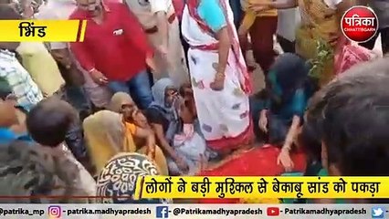 भिंड : आवारा सांड ने ली महिला की जान