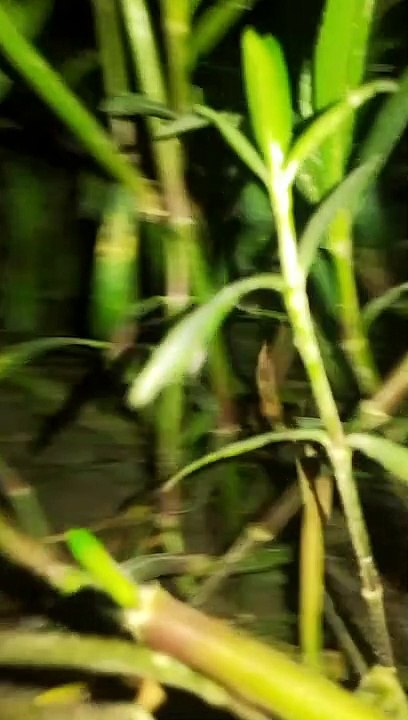 VID_20210823_201006