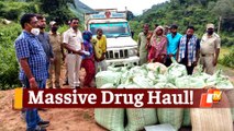 Odisha Police Busts Massive Drug Racket; 2100 Kg Ganja Seized, 26 Arrested