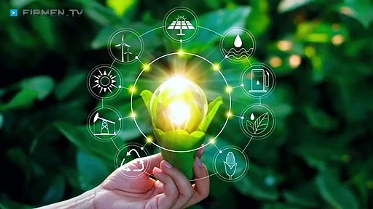 enermore GmbH in Jettingen-Scheppach – Ihr Profi für erneuerbare Energie & E-Mobilität