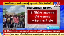 Anger continues over transfer of lions from Rajula, Locals reach Prant Office _ Amreli _ TV9News