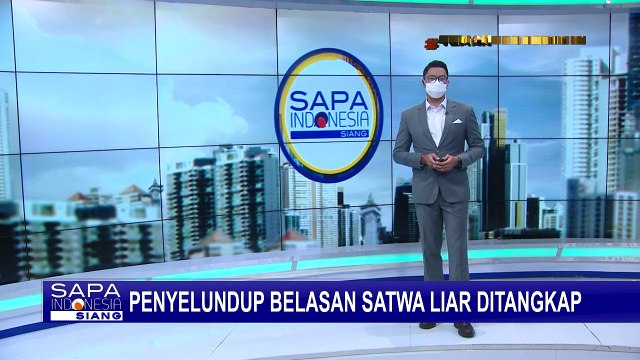 Polisi Gagalkan Penyelundupan 11 Satwa Diliar Dilindungi, Ada Kakatua Hingga Jagal Papua