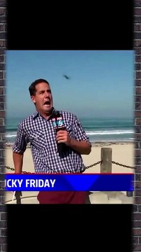 ذبابة تحرج لجين عمران مواقف صادمة حدثت على الهواء