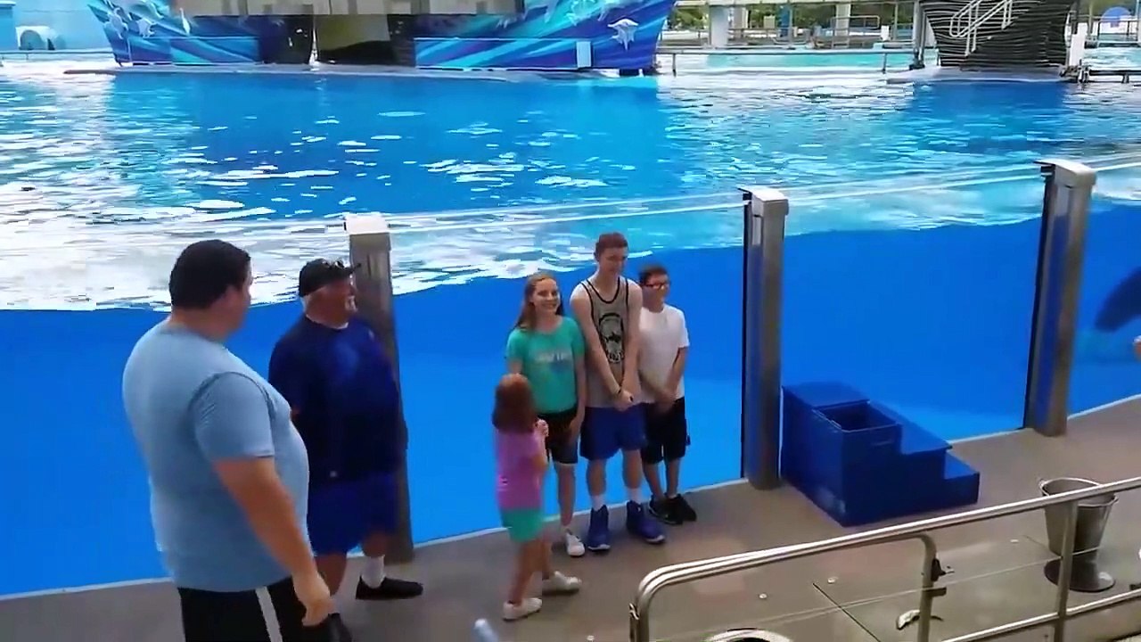 TRY NOT TO LAUGH CHALLENGE #1- Hi Shark Doo Doo