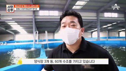 지리산에서 철갑상어를 키운다? 철갑상어가 상어와 전혀 관련 없는 어종이라고＠□＠;;;?